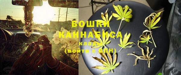 apvp Козельск