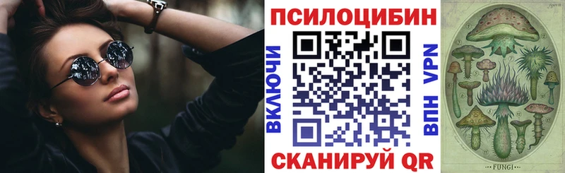 Купить закладки  Чебоксары  Галлюциногенные грибы Cubensis 